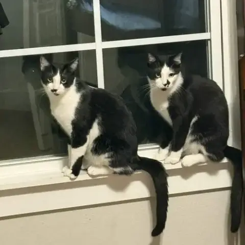 Lefty And Righty photo 5