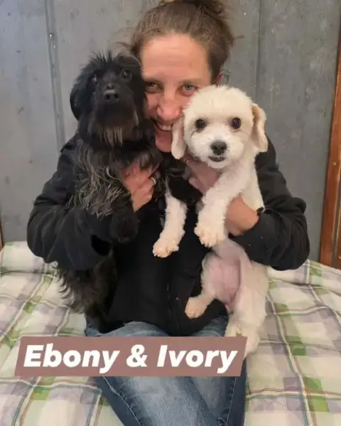 Ivory *Bonded* W/ Ebony photo 2