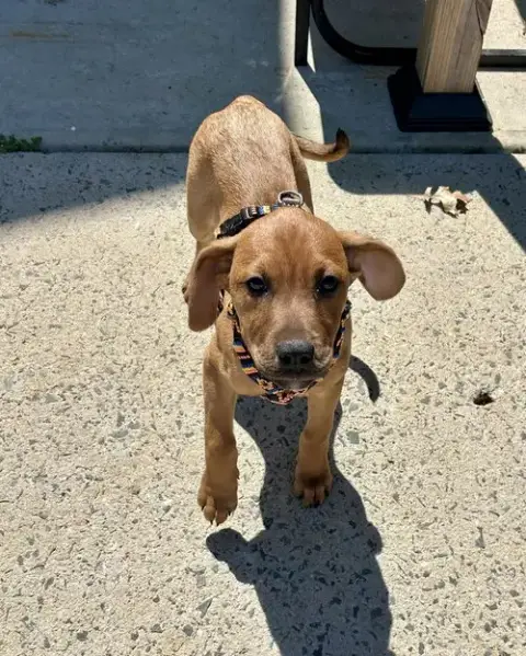 Ellie photo 4