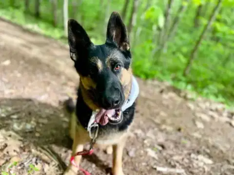 Java