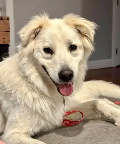 Riley photo 2