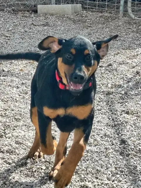 Pablo