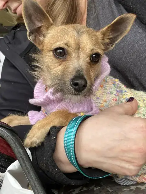 Ruthie