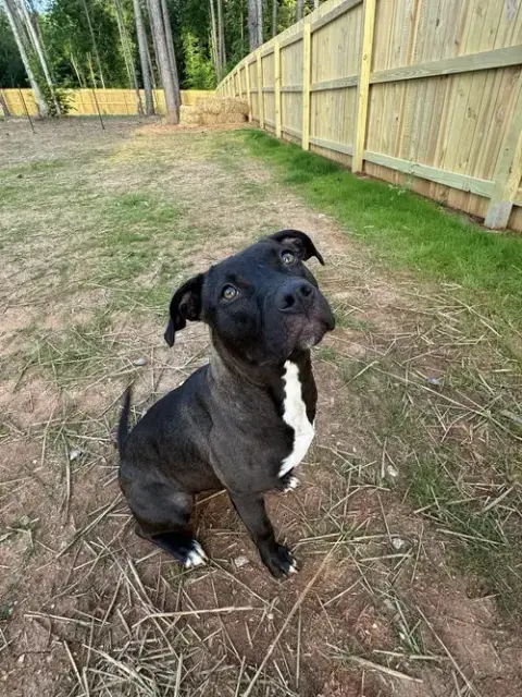 Roo photo 2