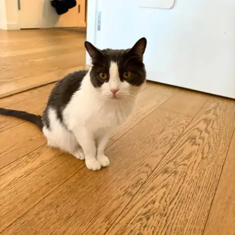 Oscar photo 5