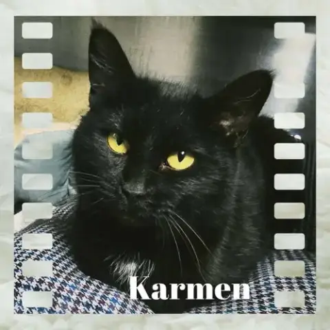 Karmen