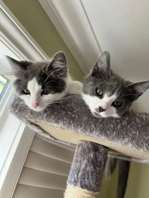 Poppy & Stella photo 4