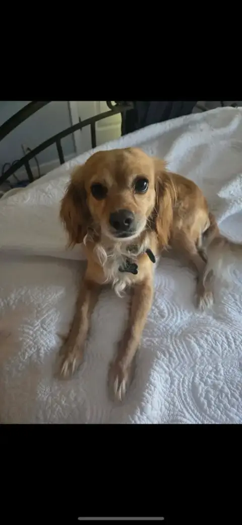 Bella photo 4