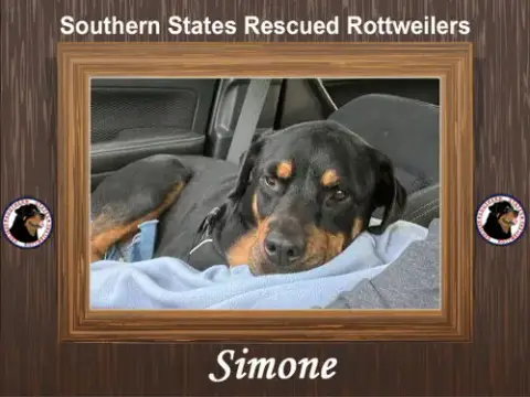 Simone