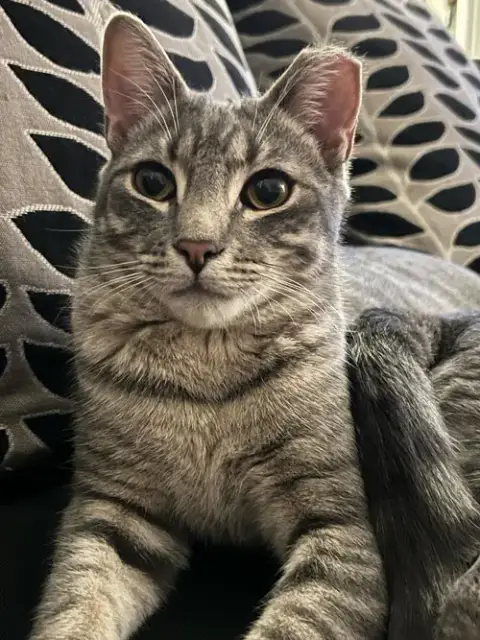 Lenny photo 2
