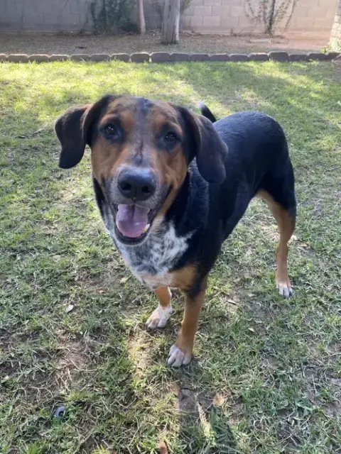 Rescue photo 3