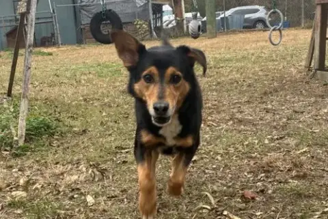 Romeo photo 2