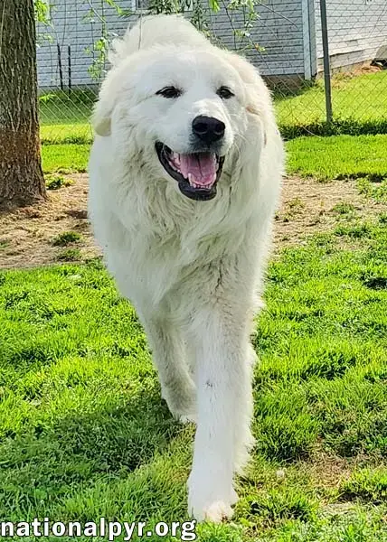 Newton In Ky photo 2