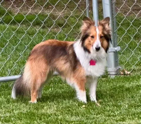 Dori