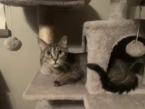 Maggie photo 3