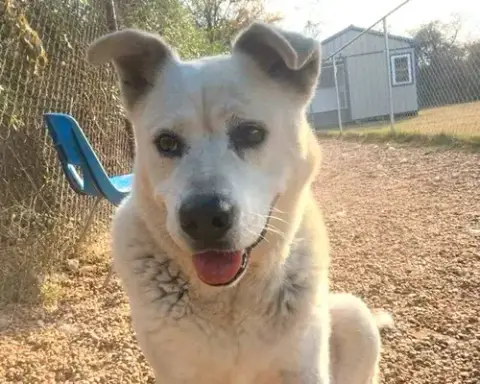 Tucker
