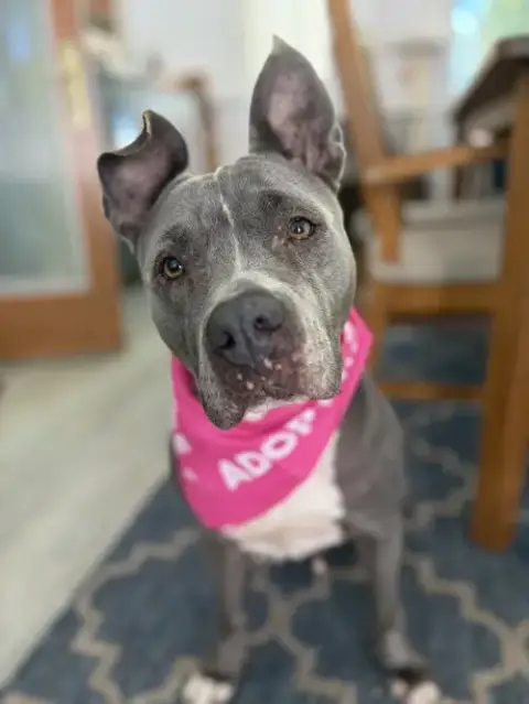 Lola