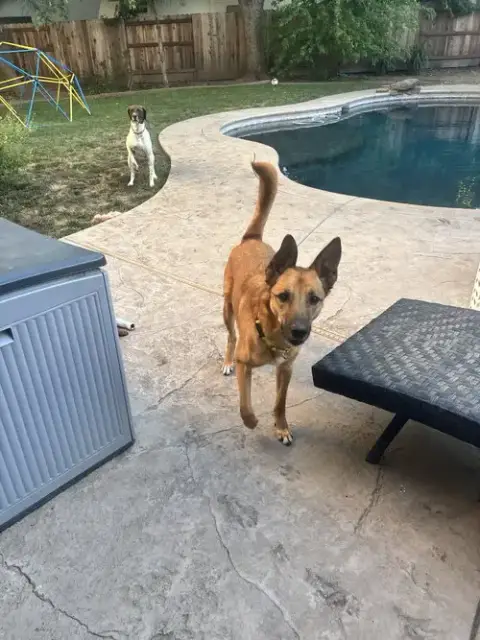Zeus photo 3