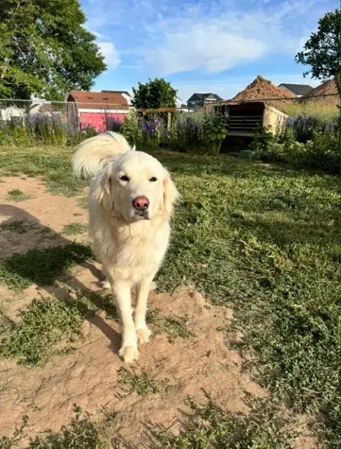 Maggie photo 3