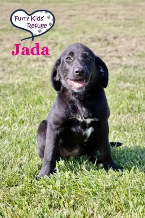 Jada photo 3