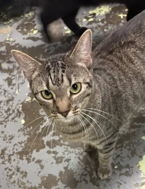 Bobby