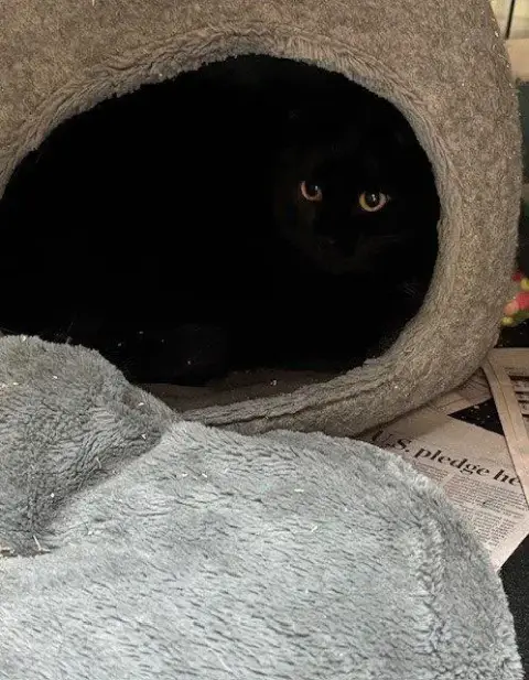Sabrina