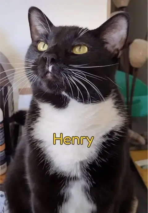 Henry