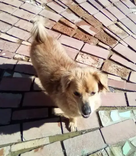 Arlo- See Buddy For Pure Red photo 4
