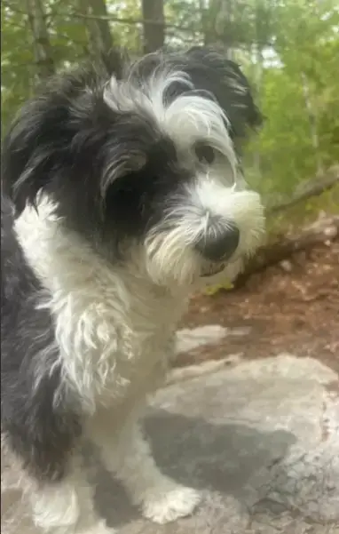 Holly In  Ri photo 5