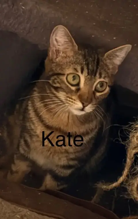 Kate