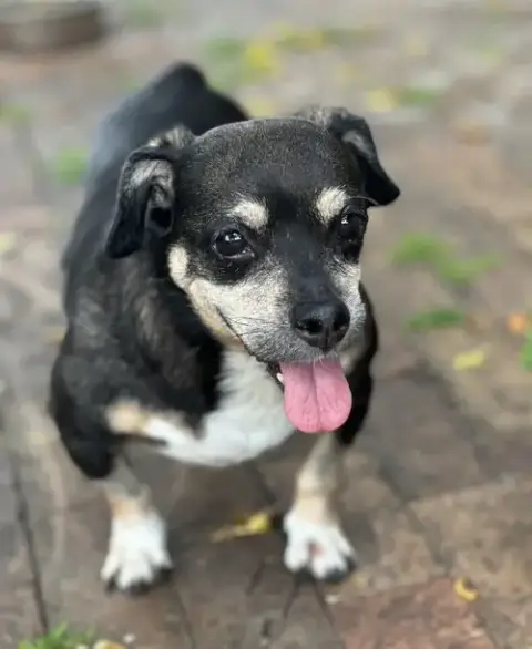 Wally photo 2