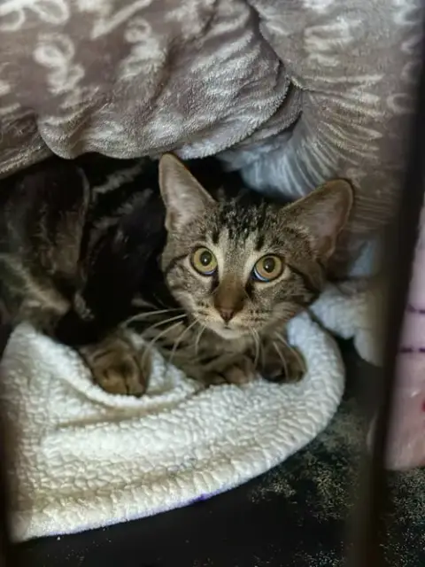 Freya photo 4
