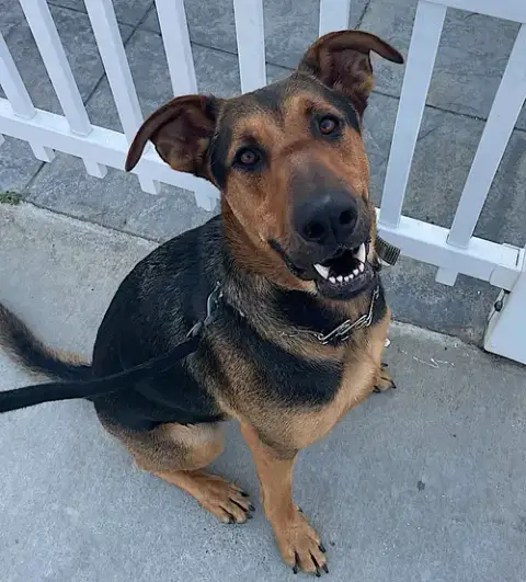 Tucker photo 3