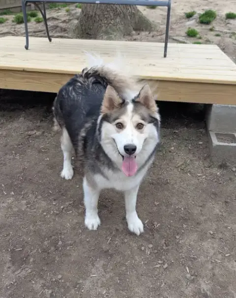 Luka photo 4