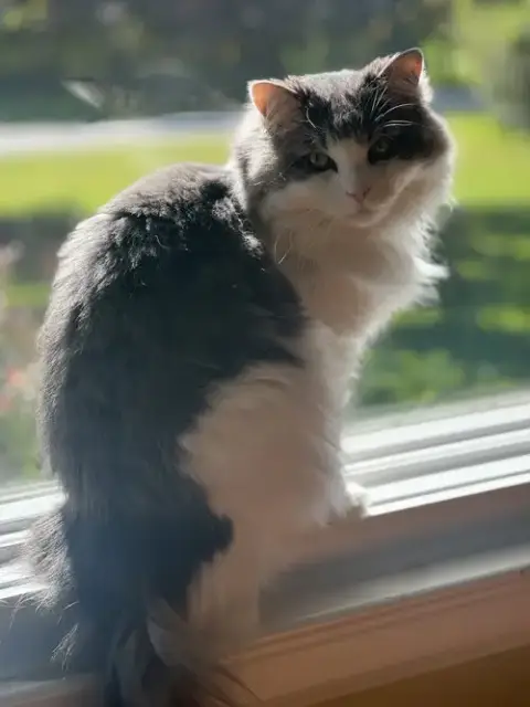 Luna Nes photo 2