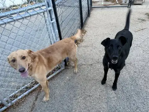 Beckett & Berkley photo 2