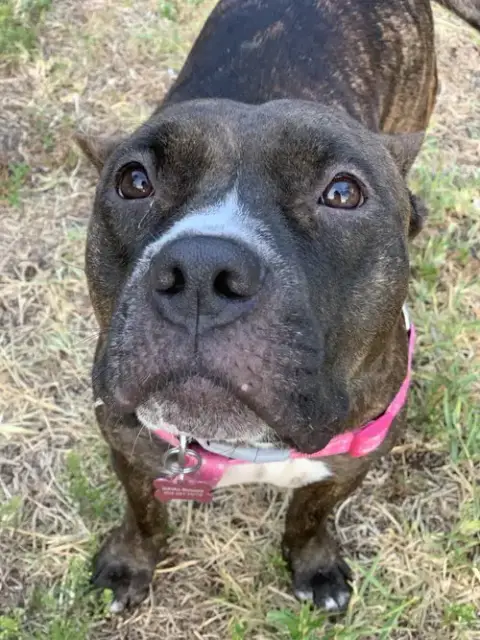Lexi photo 3