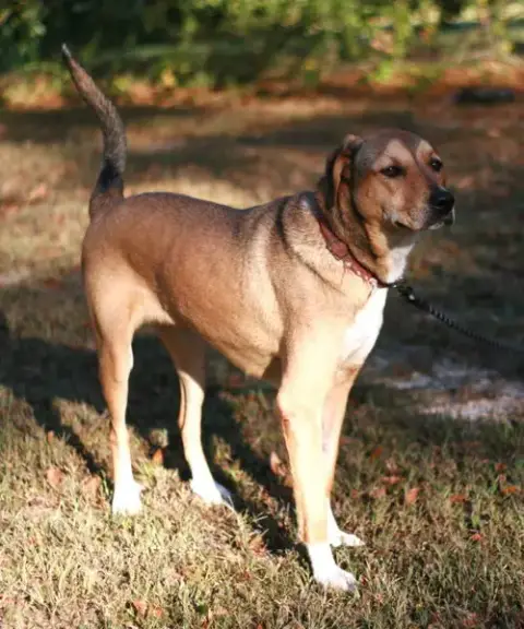Nora photo 3