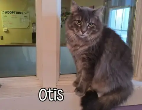 Otis photo 2