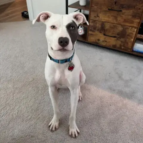 Kali photo 2