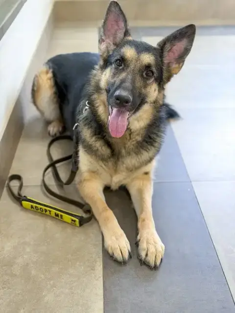 Bella