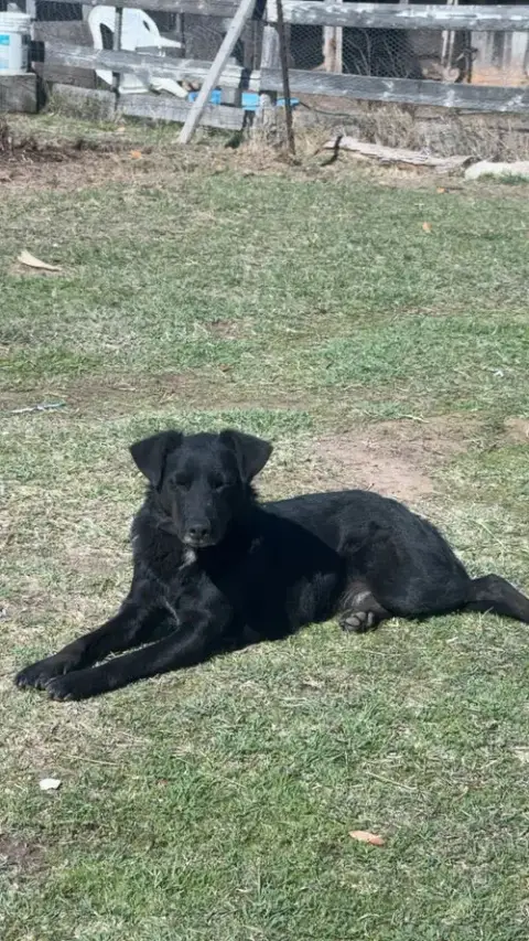 Luna