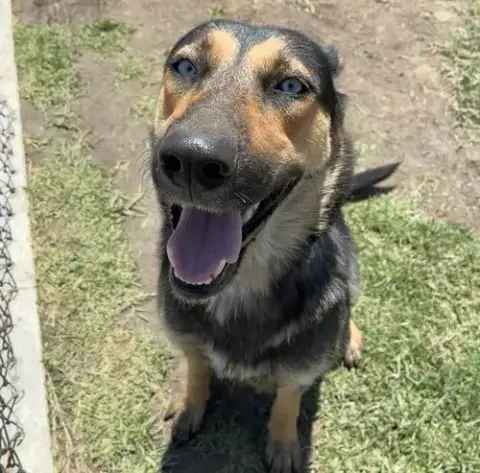 Sierra