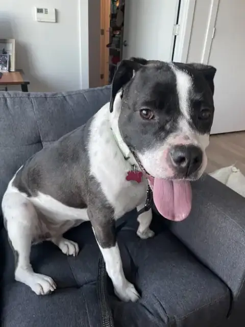 Daisy June photo 3