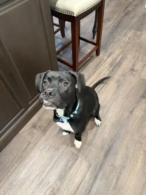 Luigi photo 2
