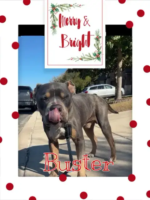 Buster