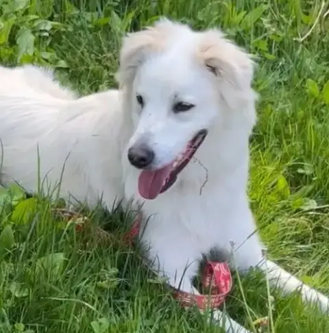 Riley photo 4