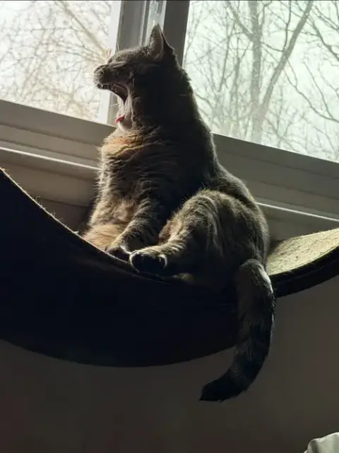 Delilah photo 5