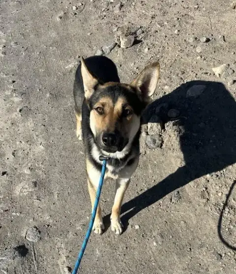 Finn photo 2