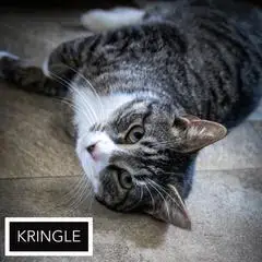 Kringle: Barn Or Sn Foster photo 3